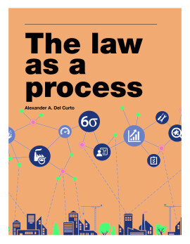 The law as a process